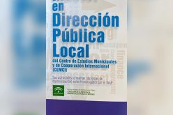 Máster en Dirección Pública Local