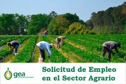 Empleo agrario