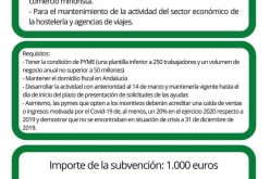 Subvenciones Junta de Andalucía