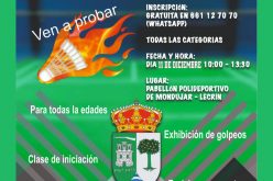 Torneo local de bádminton