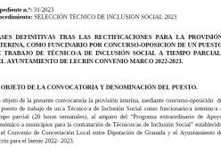 Técnico de inclusión (nuevo)