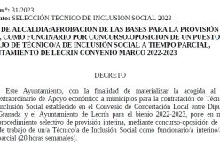 Técnico de Inclusión