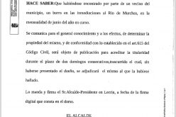 Animal Suelto