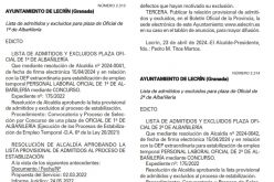 Admitidos y excluidos varias plazas