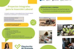 Inserción laboral