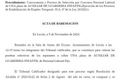 Baremo Aux. Guardería