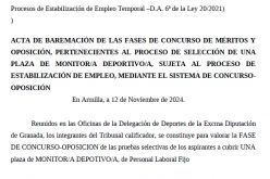 Baremo Monitor deportivo