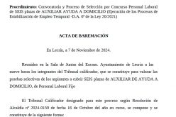 Baremo 6p Aux. Domicilio