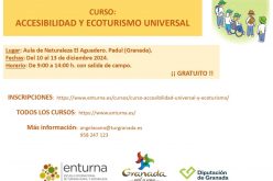 Curso accesibilidad