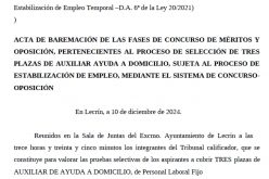 Aux. Domicilio baremo
