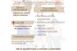 Envejecimiento activo