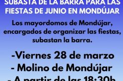 Subasta barra fiestas Mondújar