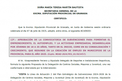 Subvención jóvenes