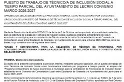 Técnico de Inclusión