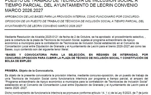 Técnico de Inclusión