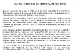 Limpieza de solares