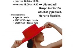 Clases de flamenco
